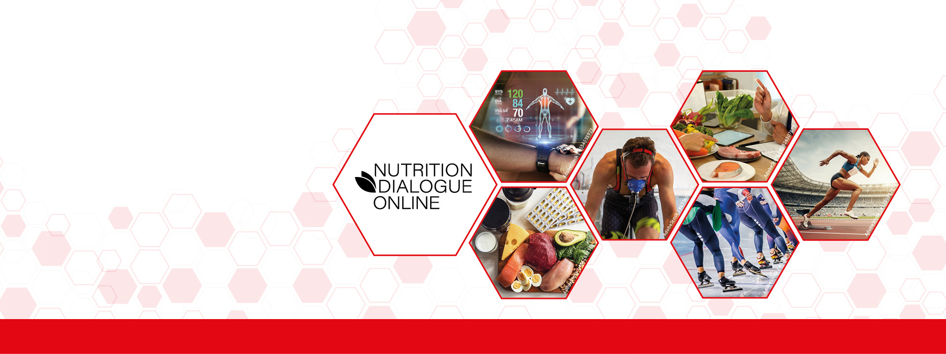 wabenförmige Bilder von Referenten des Nutrition Dialogues auf weißem Grund